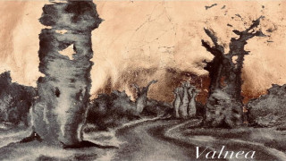 Vai al video precedente