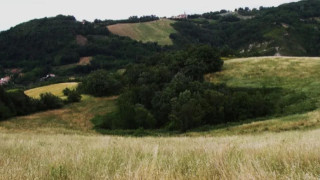 Vai al video successivo