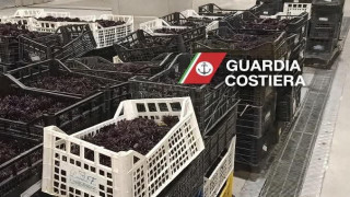 Vai al video successivo