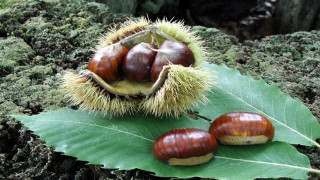 Vai al video successivo