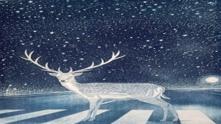 Vai al video successivo