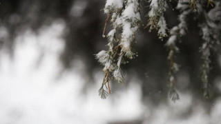 Vai al video precedente