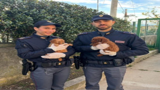 Vai al video successivo