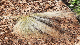 Vai al video successivo