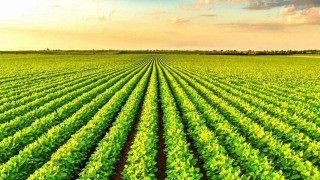 Vai al video successivo