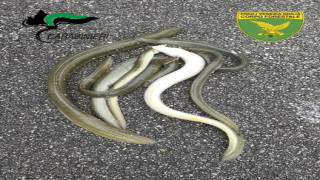 Vai al video successivo