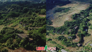 Vai al video precedente