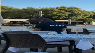Vai al video precedente
