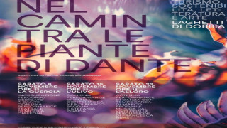 Vai al video precedente