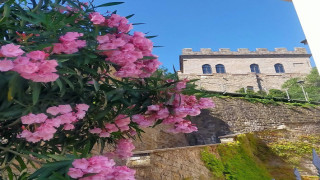 Vai al video successivo