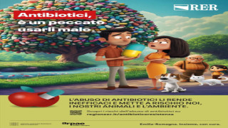 Vai al video successivo