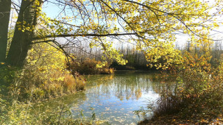 Vai al video successivo