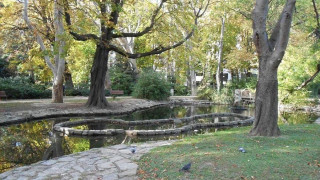 Vai al video precedente