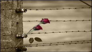 Vai al video successivo