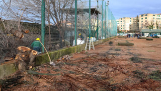 Vai al video precedente