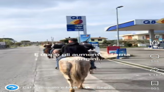 Vai al video successivo